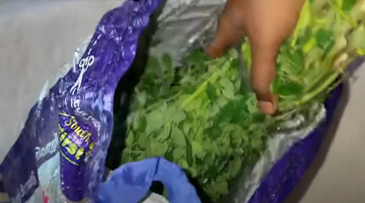 murungai keerai