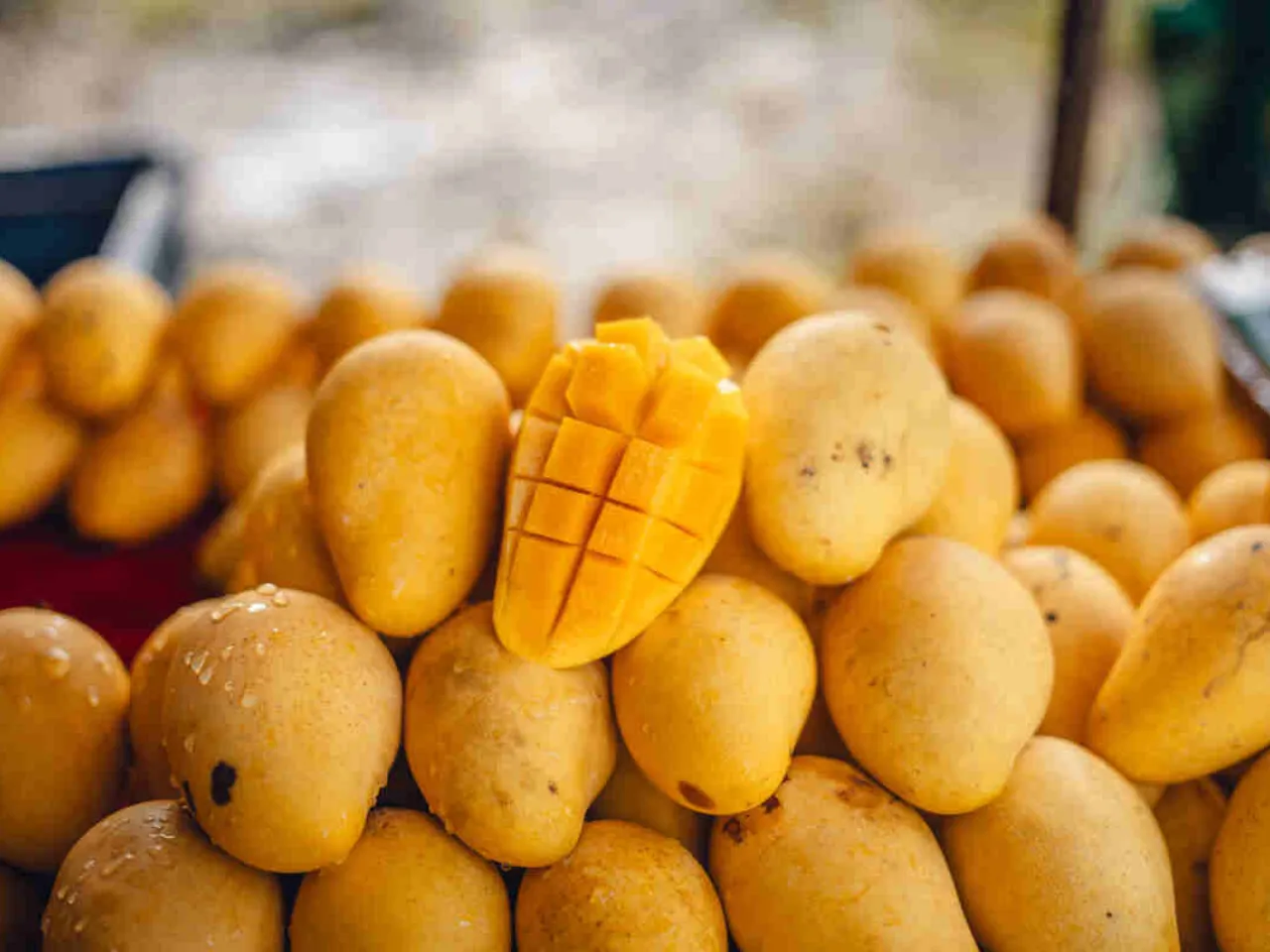 mangoes