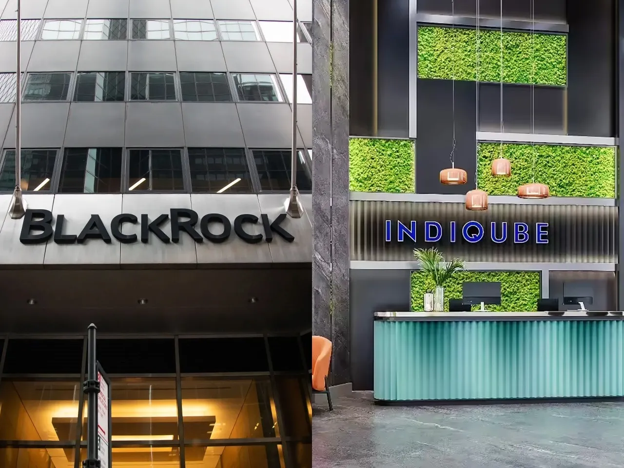 BlackRock Signs Landmark 1.4 Lakh Sq. Ft. Lease with IndiQube in Bengaluru