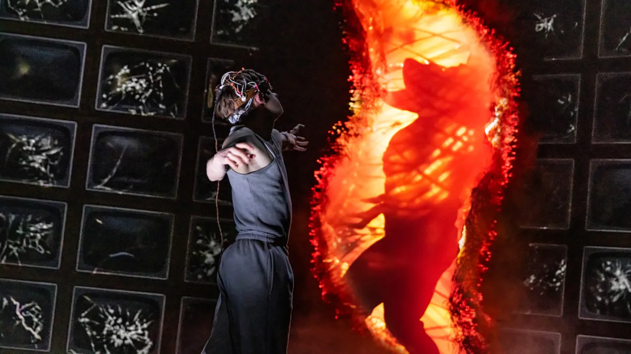 harry po - 2026-02-12T152336.635