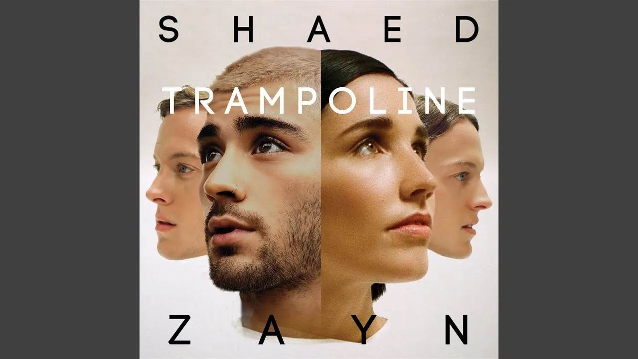 Zayn features on remix of 'Trampoline'