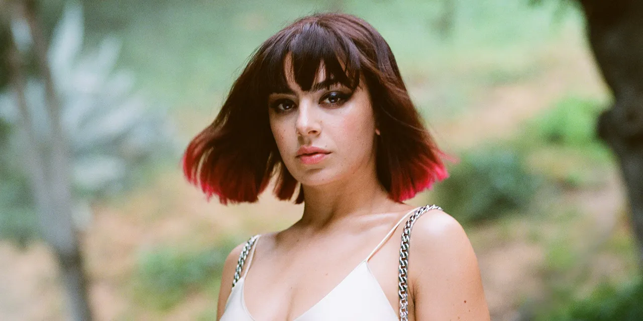 Woah! Charli XCX helped write Senorita!