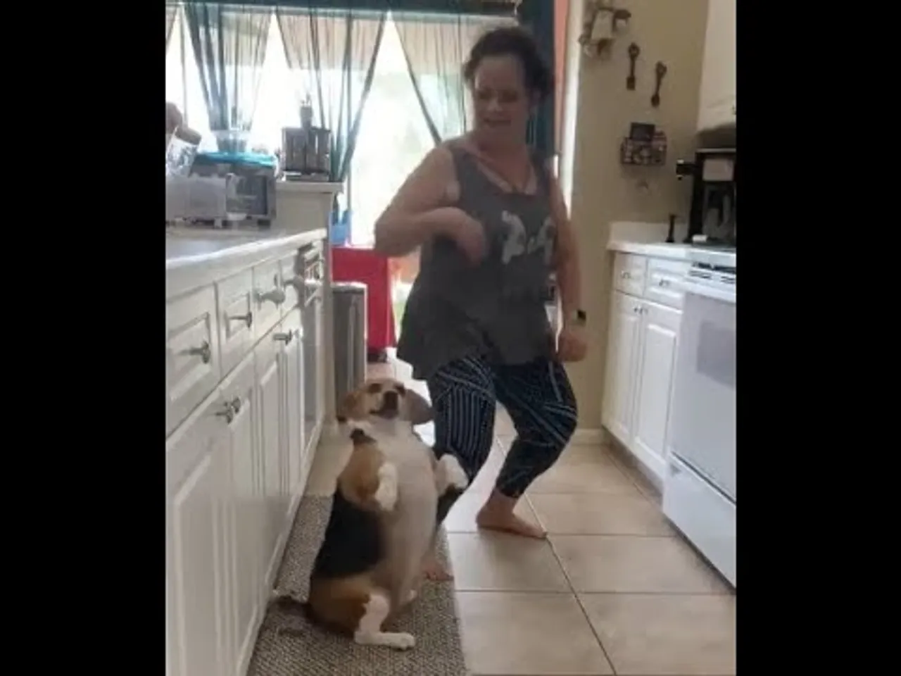 A Dancing Dog. What More Do You Need?