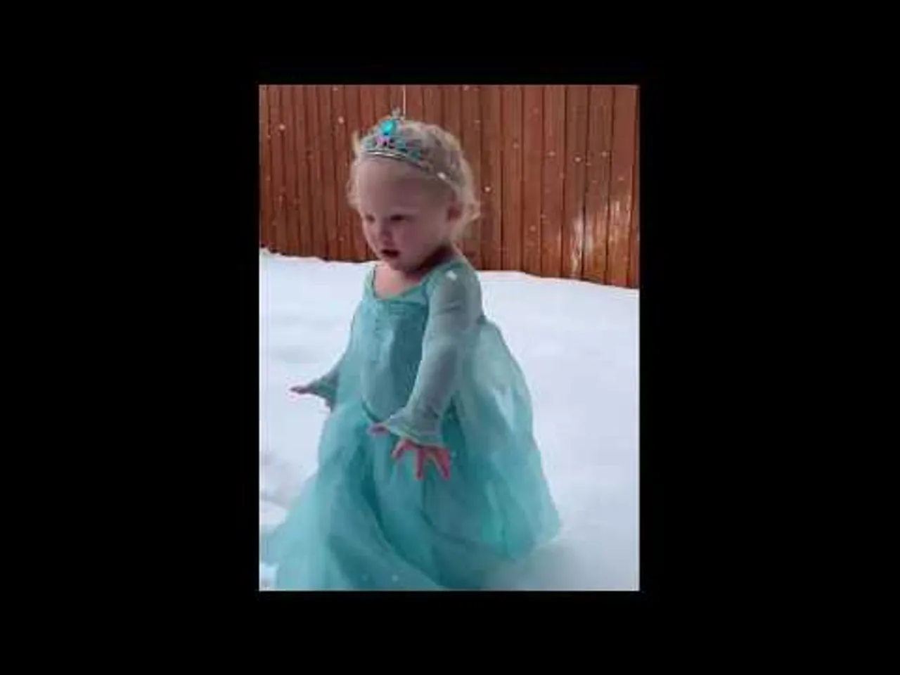 Frozen With Cuteness
