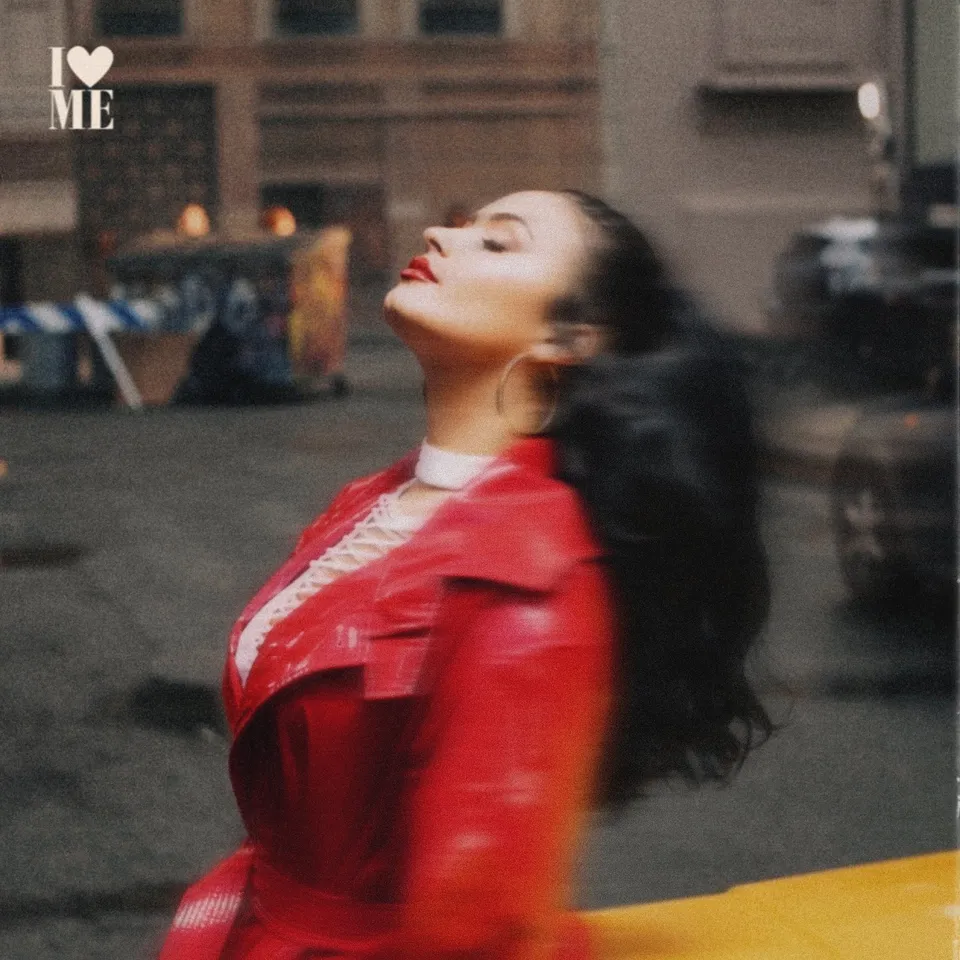 Demi Lovato is All Narcissistic