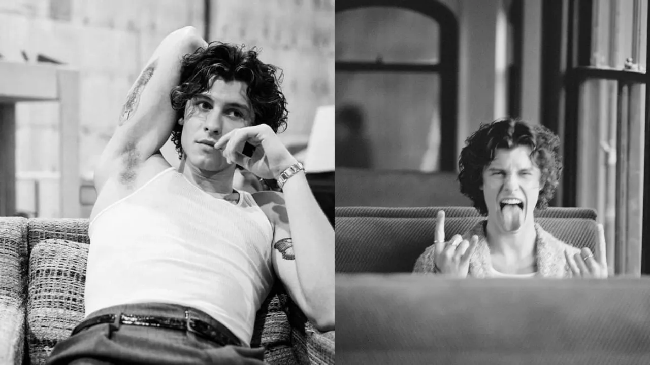 'In Wonder': Shawn Mendes Professes His Love For The Stage