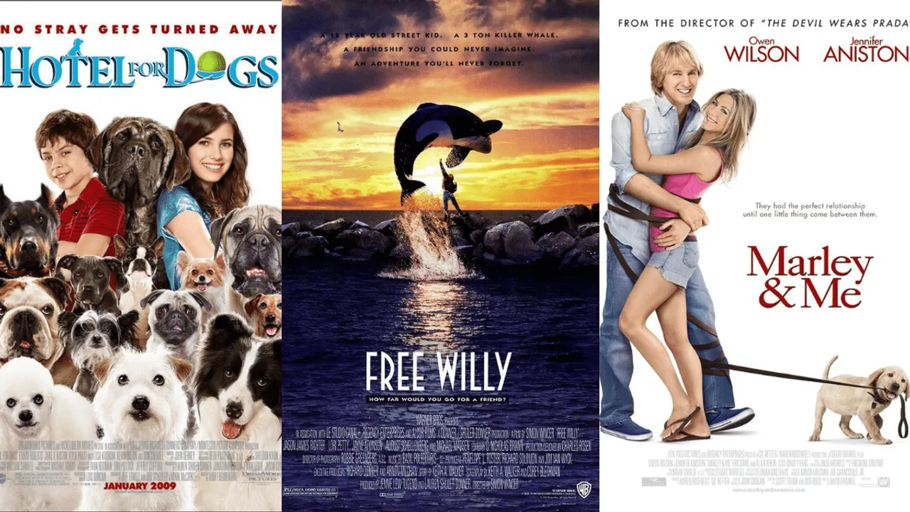 Movies That Have Animals in The Spotlight