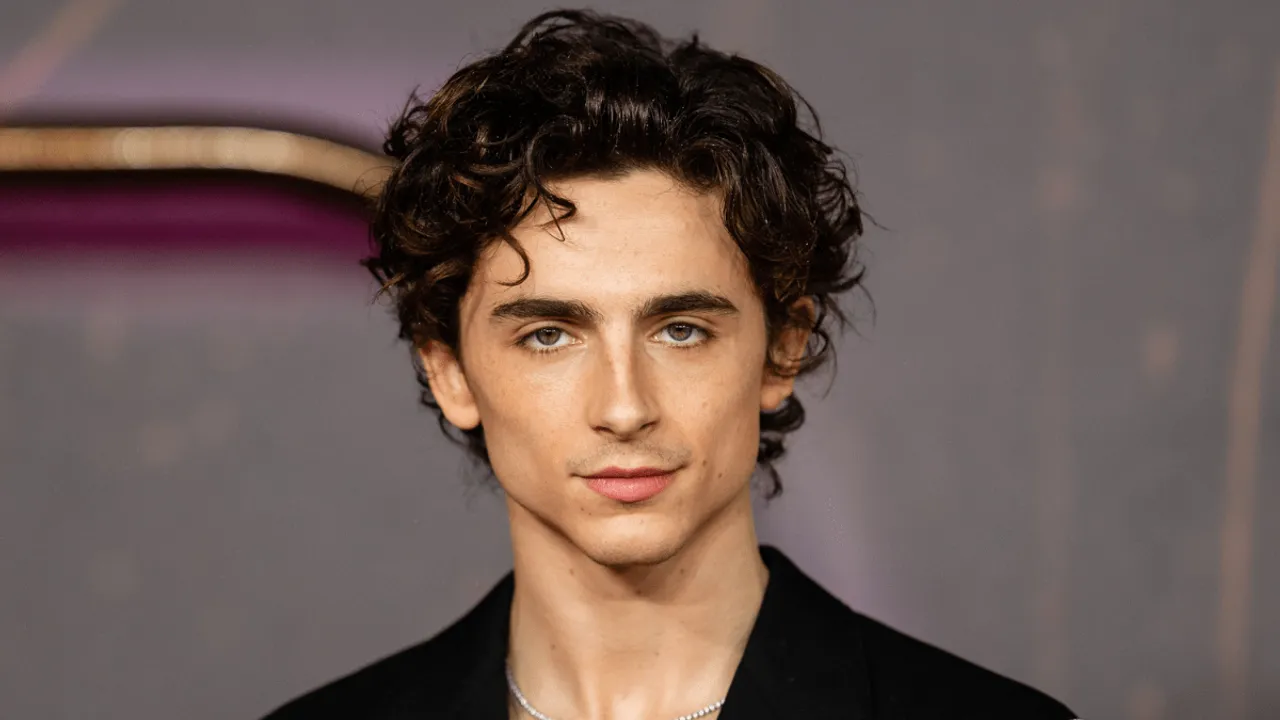 Timothée Chalamet Reacts to Joining MCU or DCU: "No Superhero Movies"