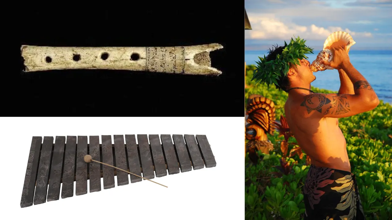 The Odd Origins of Musical Instruments: From Hollow Bones to Animal Bladders