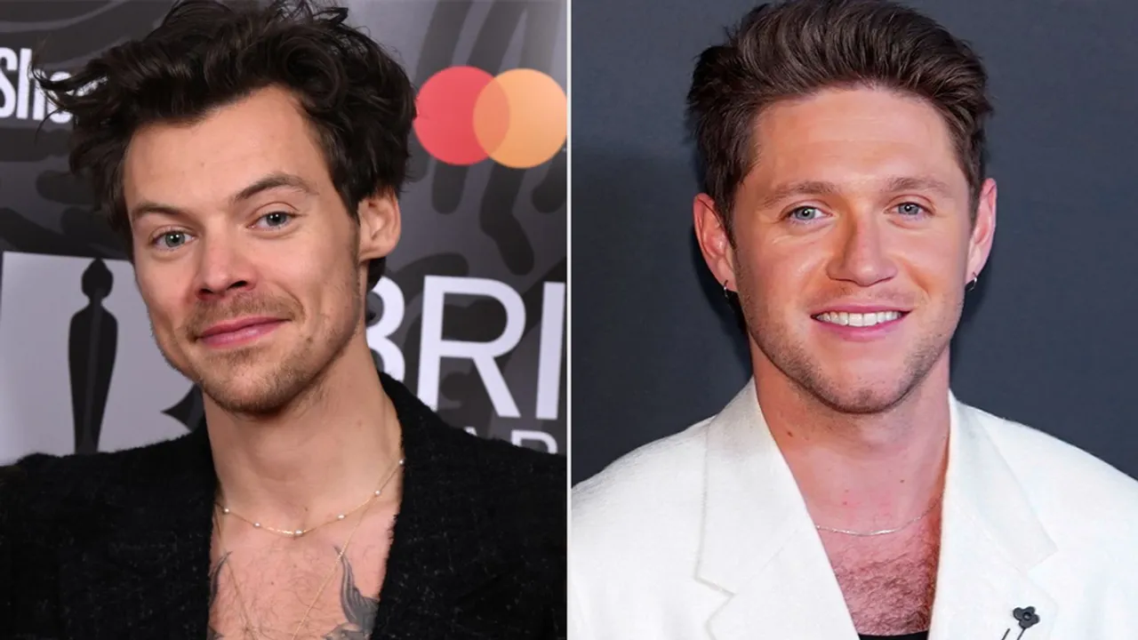 Harry Styles Joins Niall Horan's Concert, Singing Along to One Direction's 'Stockholm Syndrome'