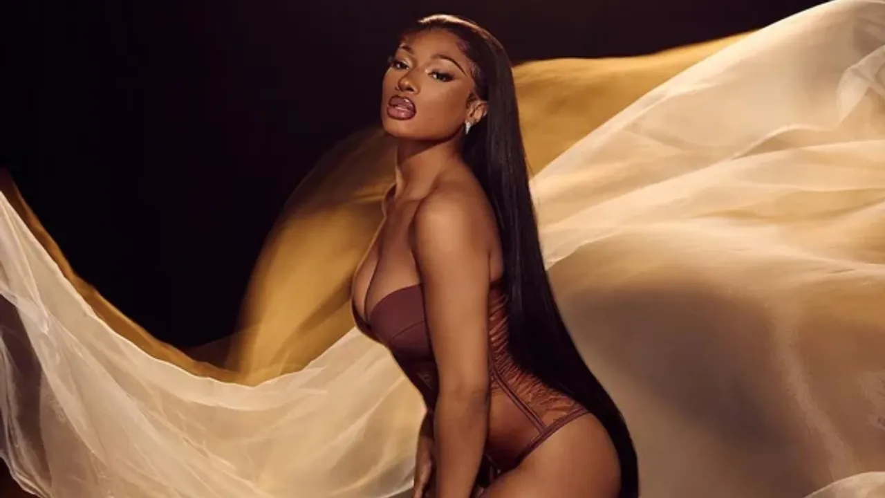 Megan Thee Stallion Embraces Diss From Other Artists