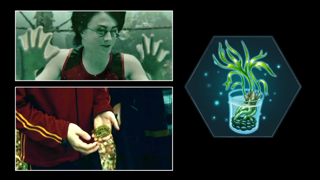 Harry Potter: The Preparation and Use of Gillyweed in Potions 