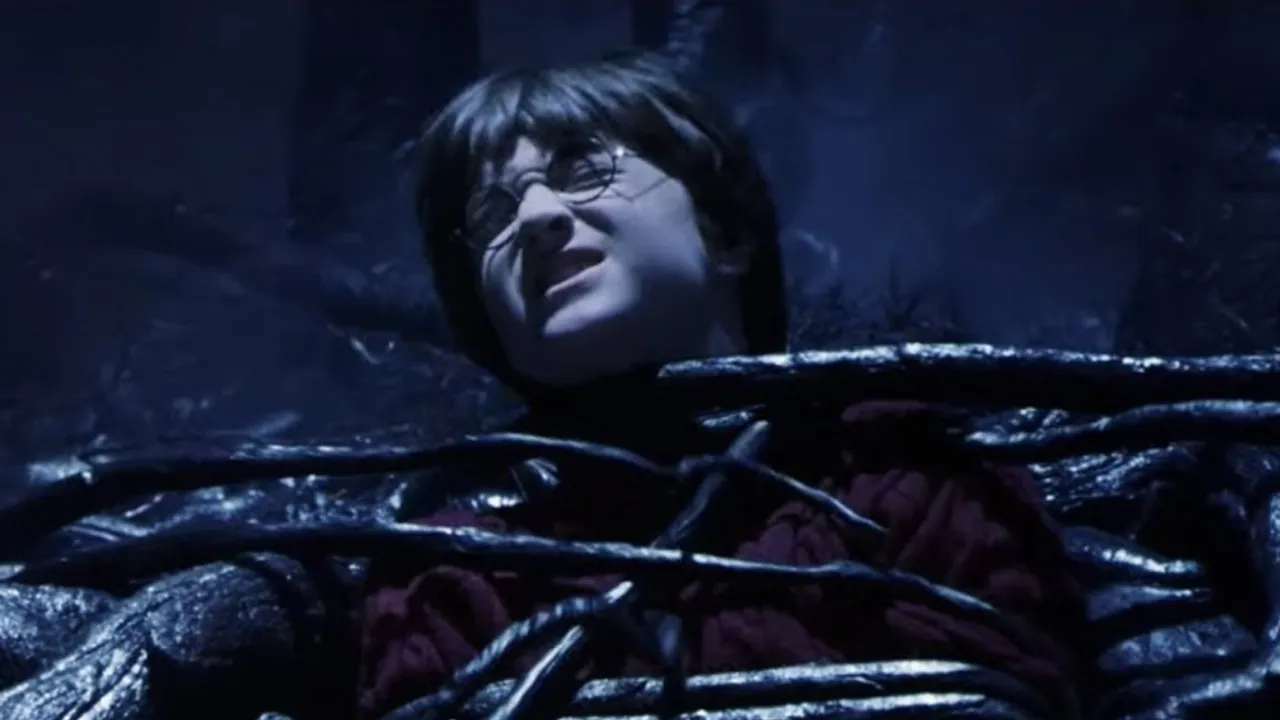 Devil’s Snare: An Analysis of Its Uses in Potions and Spellwork