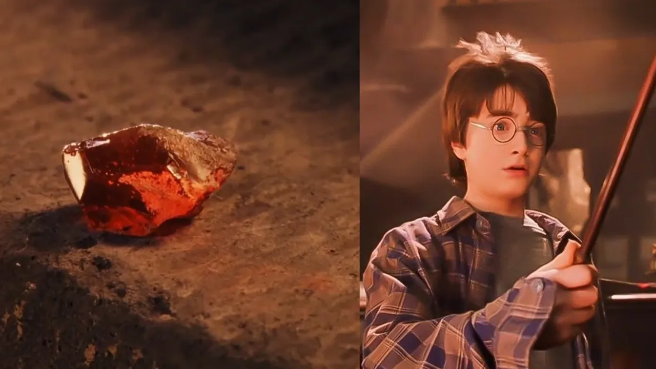 All Protectors of The Sorcerer's Stone in ‘Harry Potter’