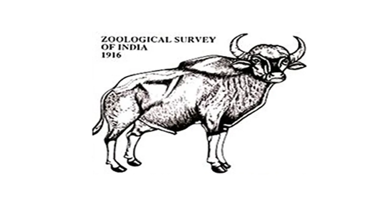 Zoological Survey of India