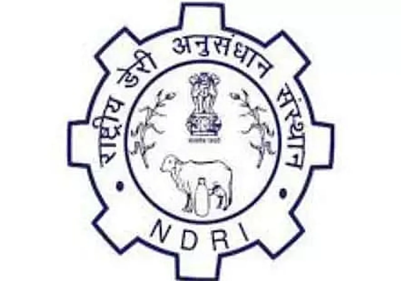 NDRI Recruitment 2020 (17 Posts)