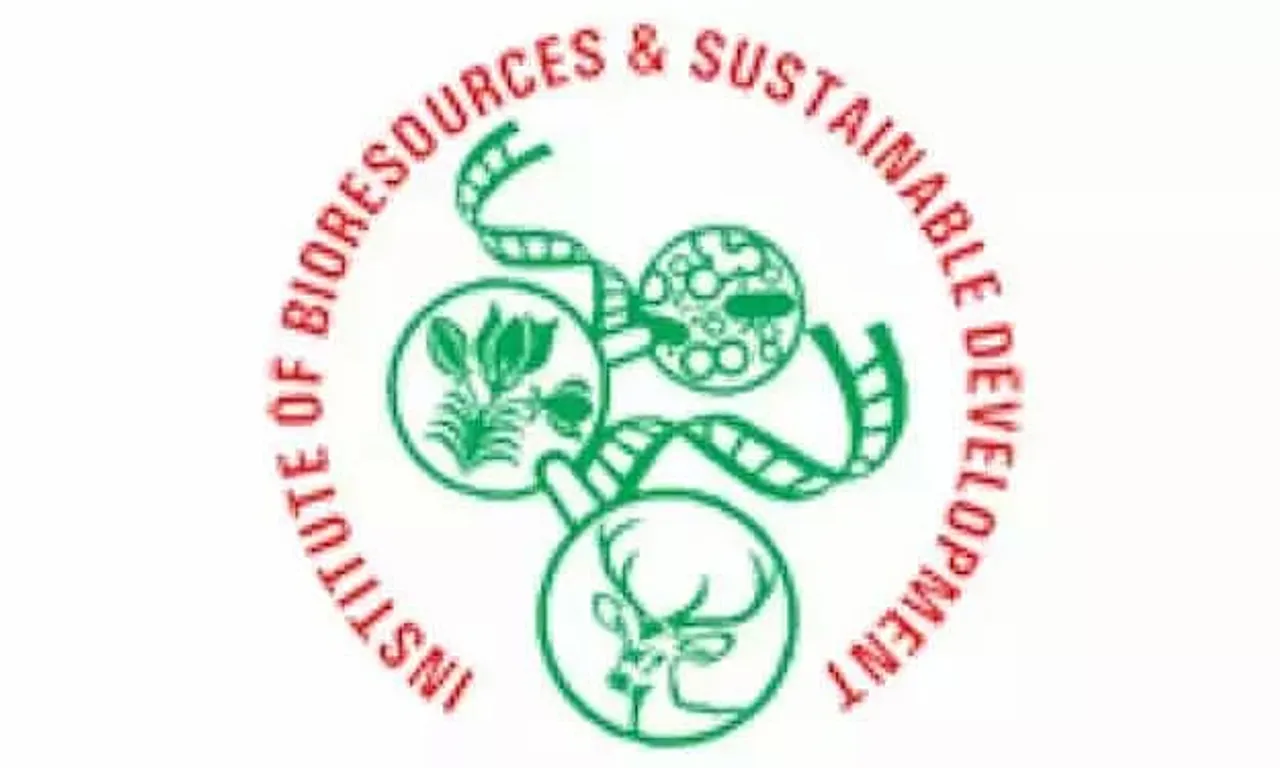 IBSD Job Recruitment 2021 - 1 Junior Research Fellow vacancy, Latest job opening