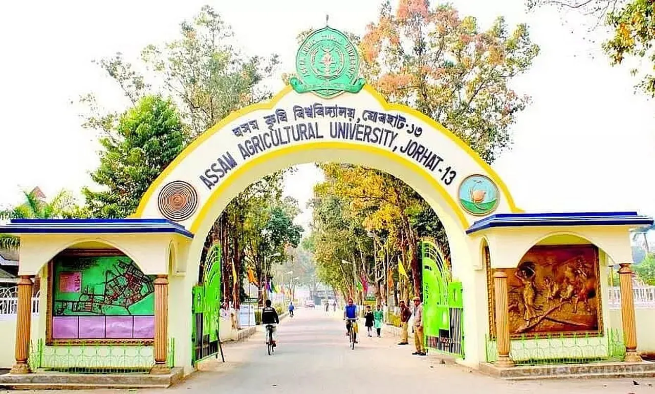 Assam Agricultural University(AAU) Jorhat Job Recruitment 2021 -1 Dean Vacancy, Job Openings