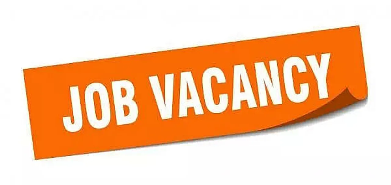 Nirvana Foundation Recruitment 2021 - Accountant and Others Vacancy, Job Openings
