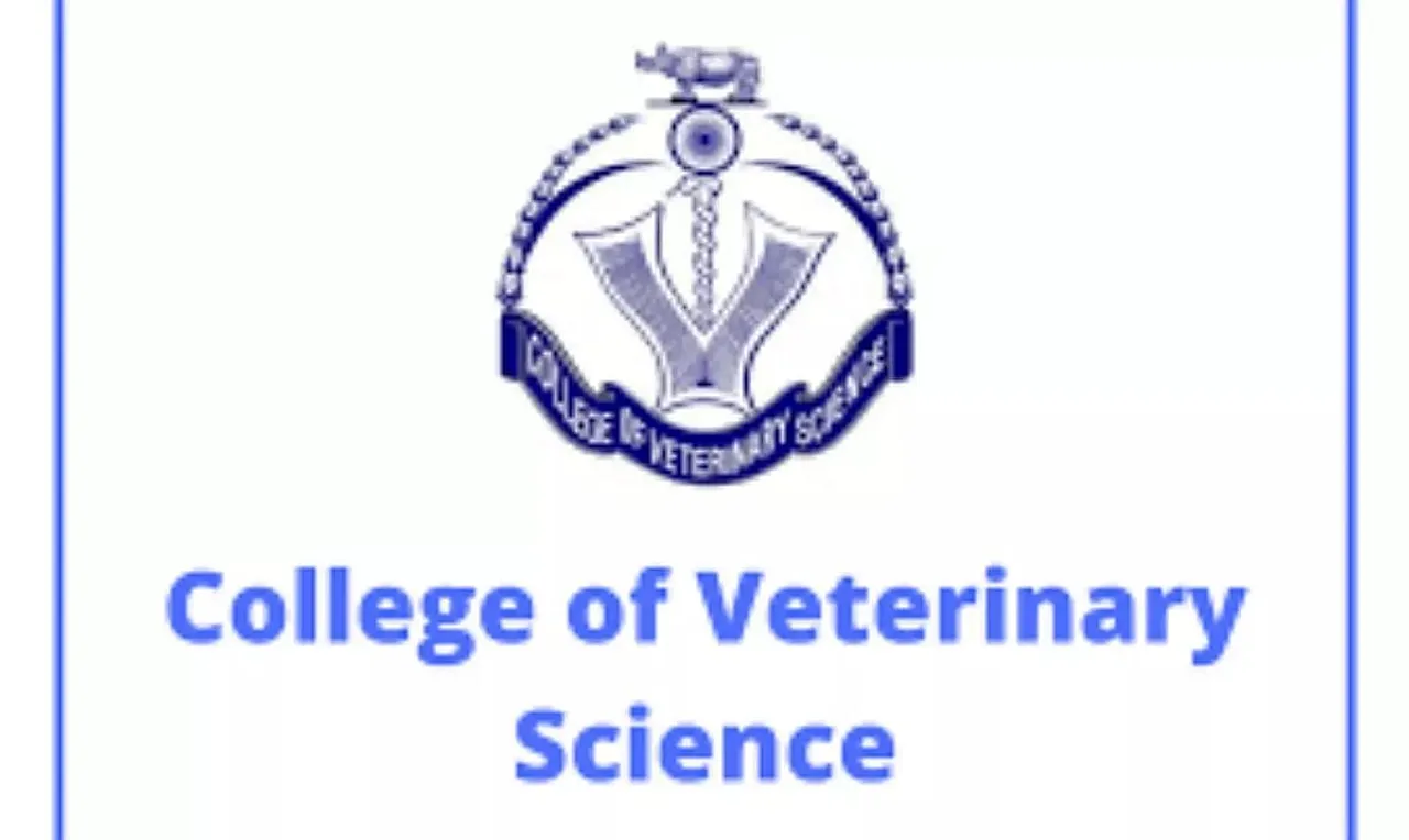 College Of  Veterinary Science Guwahati Recruitment 2021 - 6 Project Associate, Young Professional & Other Vacancy, Job Openings