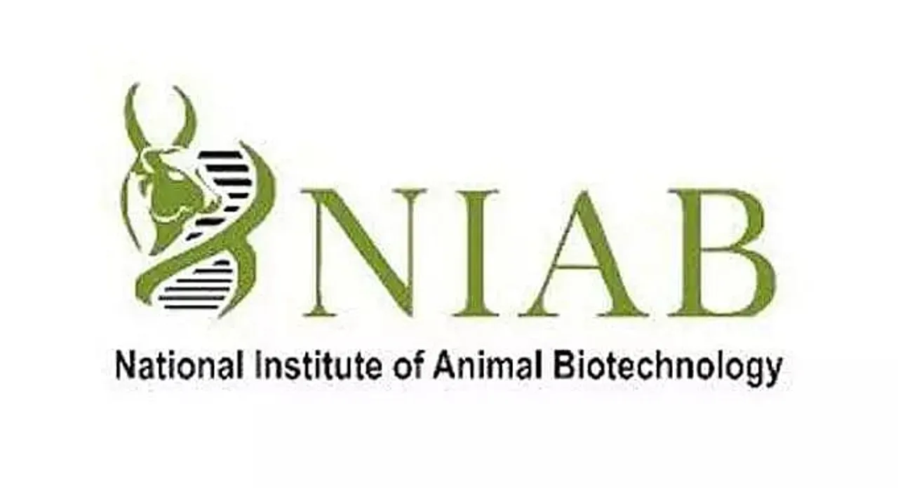 National Institute of Animal Biotechnology (NIAB) Recruitment 2021 - Scientist Vacancy, Job Openings