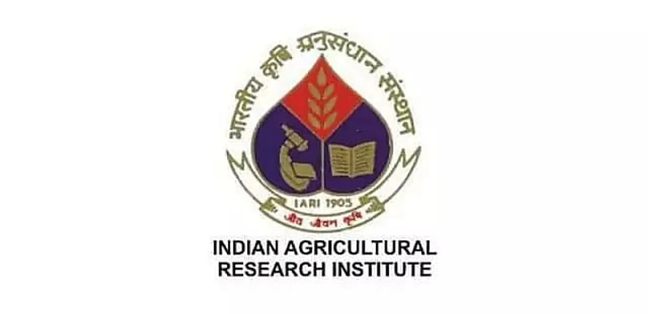 IARI Recruitment 2021 - Young Professional, Junior Research Fellow & SRF Vacancy, Job Openings