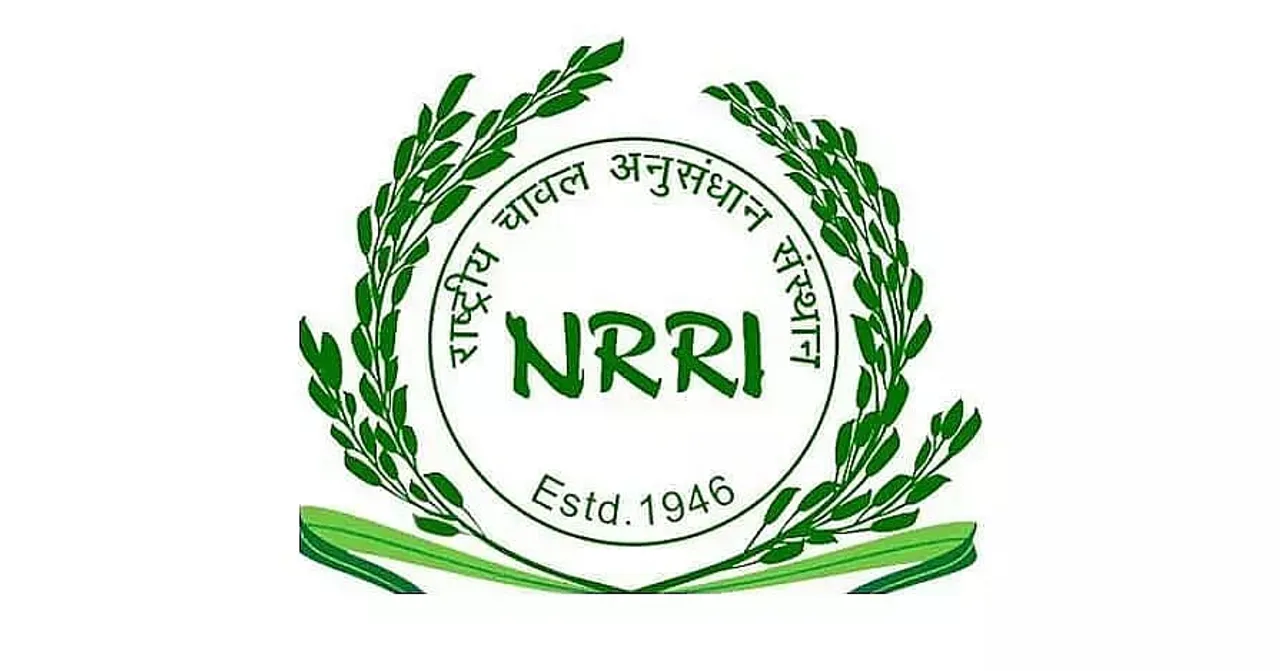 ICAR-NRRI Recruitment 2021 - Young Professional-I Vacancy, Latest Job Openings