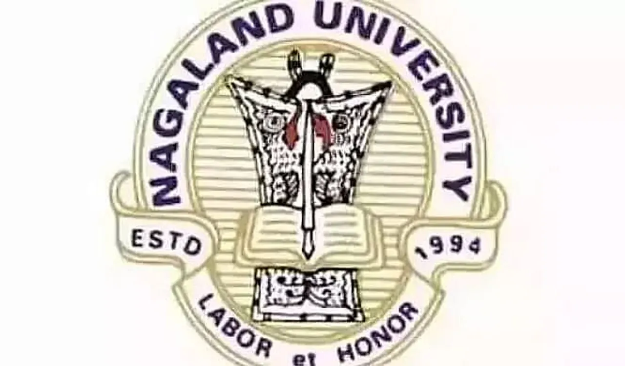 Nagaland University Recruitment 2021 - 05 Finance Officer, Director, Professor Vacancy, Latest Jobs