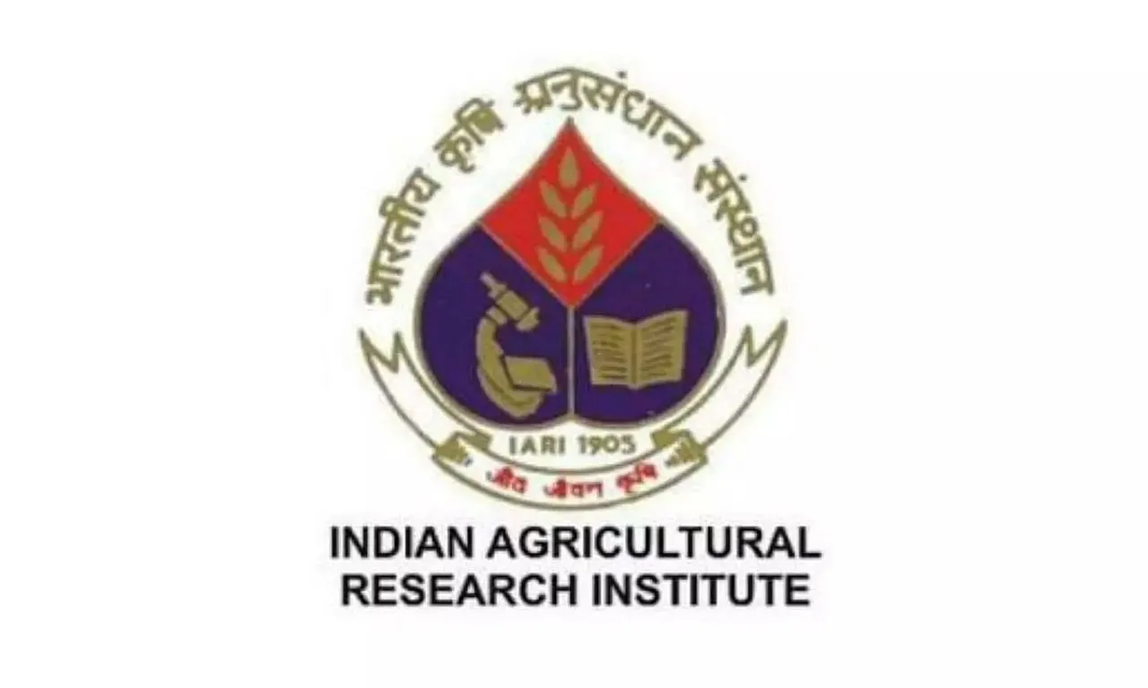 IARI Recruitment 2021 - Project Assistant Vacancy, Job Openings