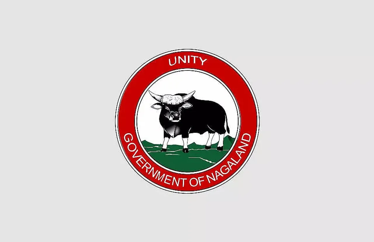 Water Resources Department, Nagaland Recruitment 2021 - Field Assistant/Young Professional Vacancy, Job Openings