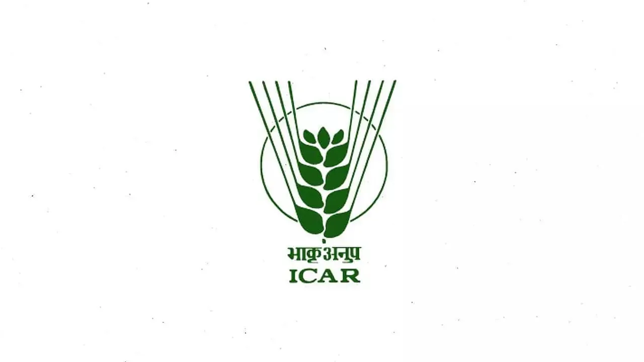 ICAR Recruitment 2022 – Young Professional-II Vacancy