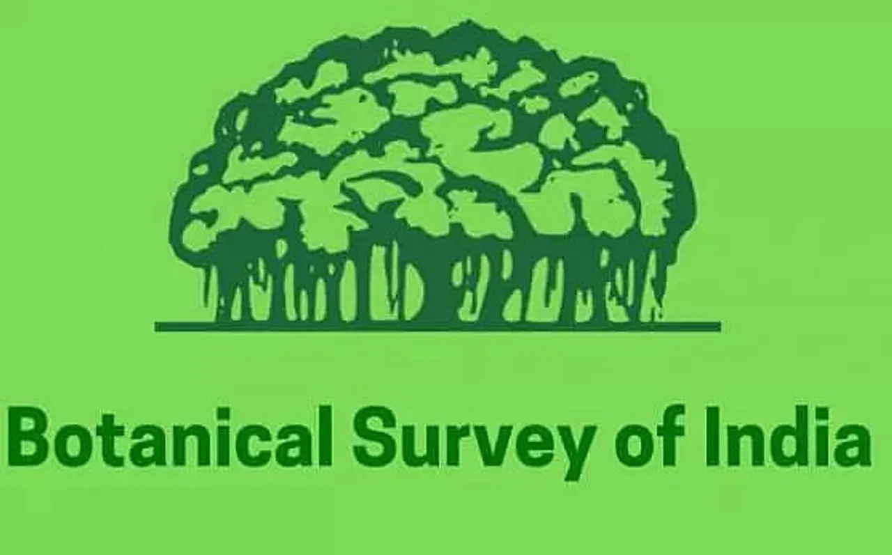 Botanical Survey of India, Sikkim Recruitment 2022 - Field/Technical Assistant And Other Vacancy, Latest Jobs