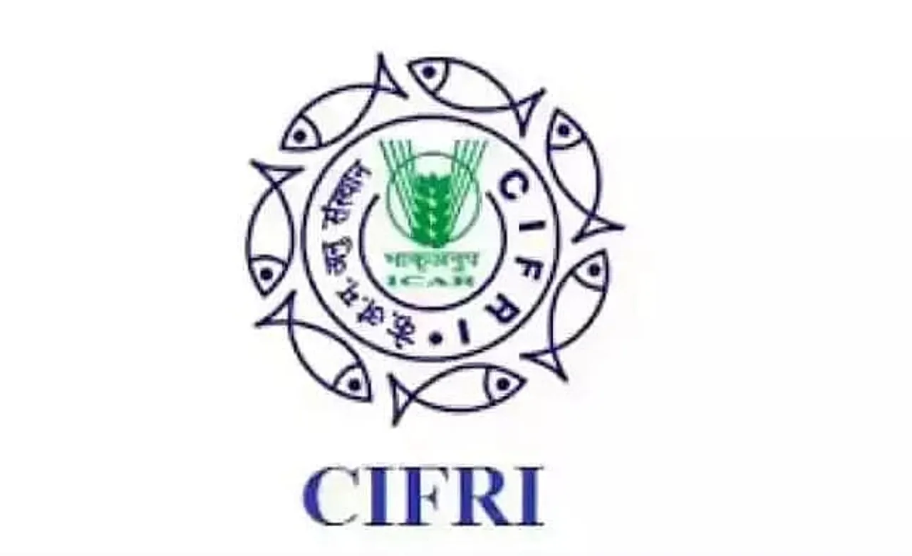 CIFRI Recruitment 2022 - Stenographer Grade III Vacancy, Latest Jobs