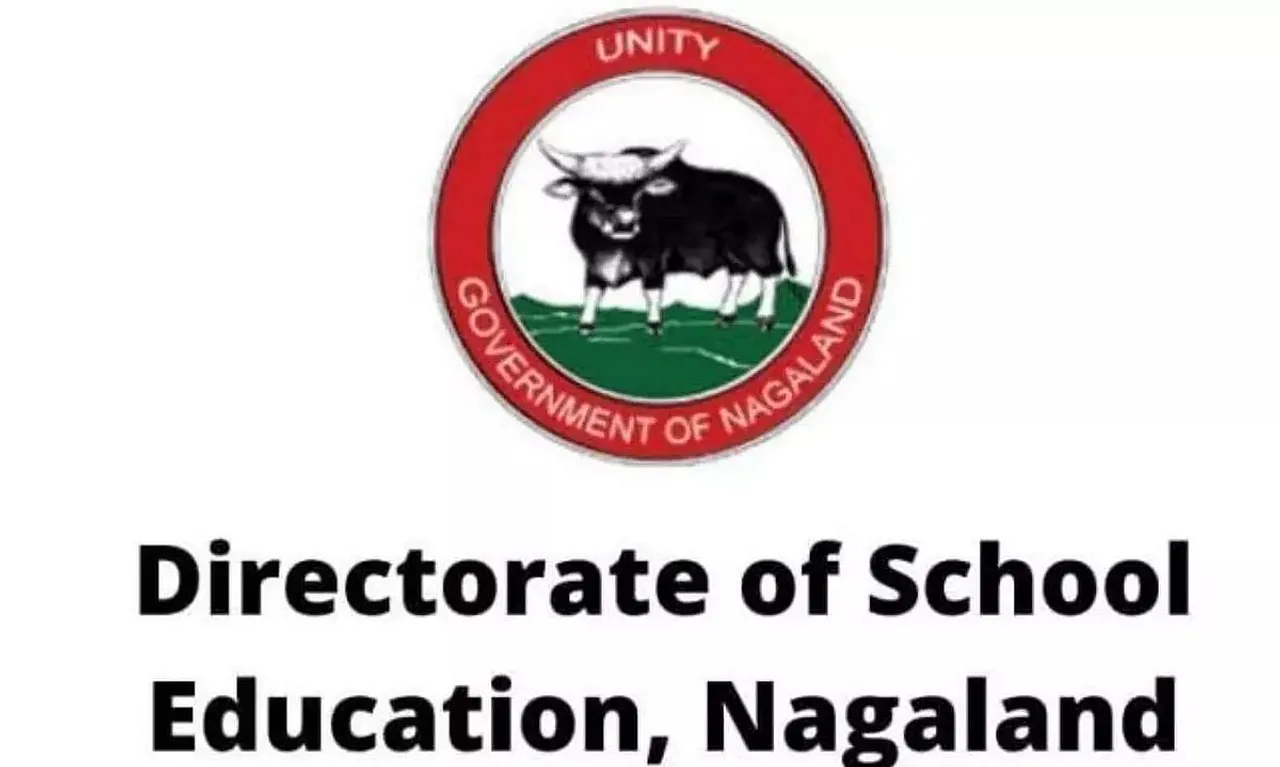 DSE Nagaland Recruitment 2022 - Graduate Teacher (Hindi) Vacancy, Job Openings