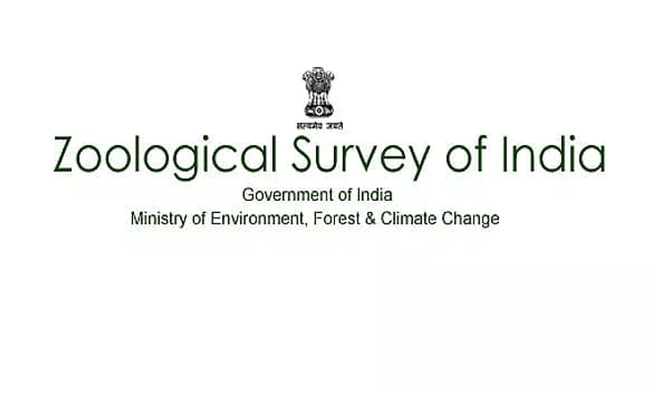 ZSI Recruitment 2022 - Junior Research Fellow Vacancy, Latest Job