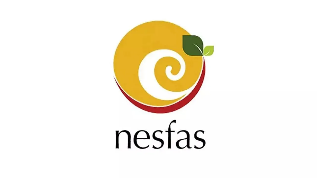 NESFAS Recruitment 2022 - for Project Coordinator and Local Researcher Vacancy, Job Openings