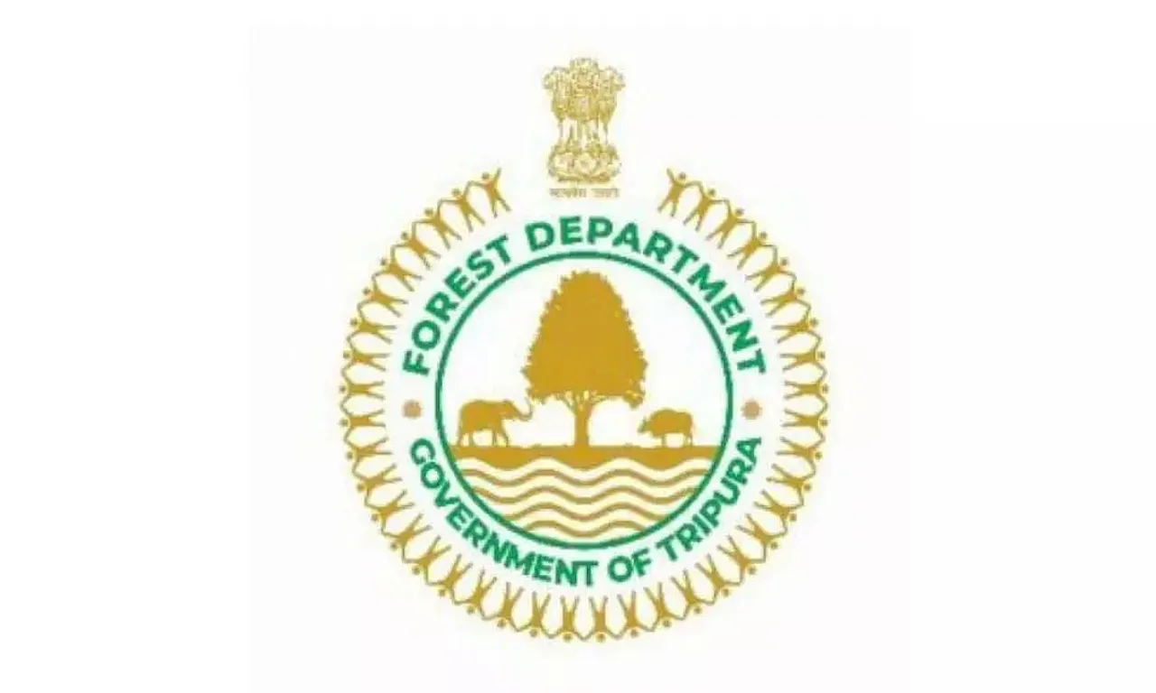 TFDPC Ltd. Recruitment 2022 - Company Secretary Vacancy, Job Opening