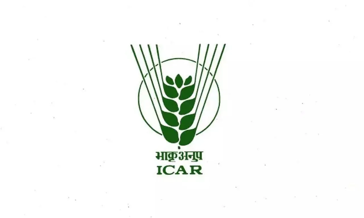 ICAR Meghalaya Recruitment 2022 - Young Professional- II Vacancy, Job Opening