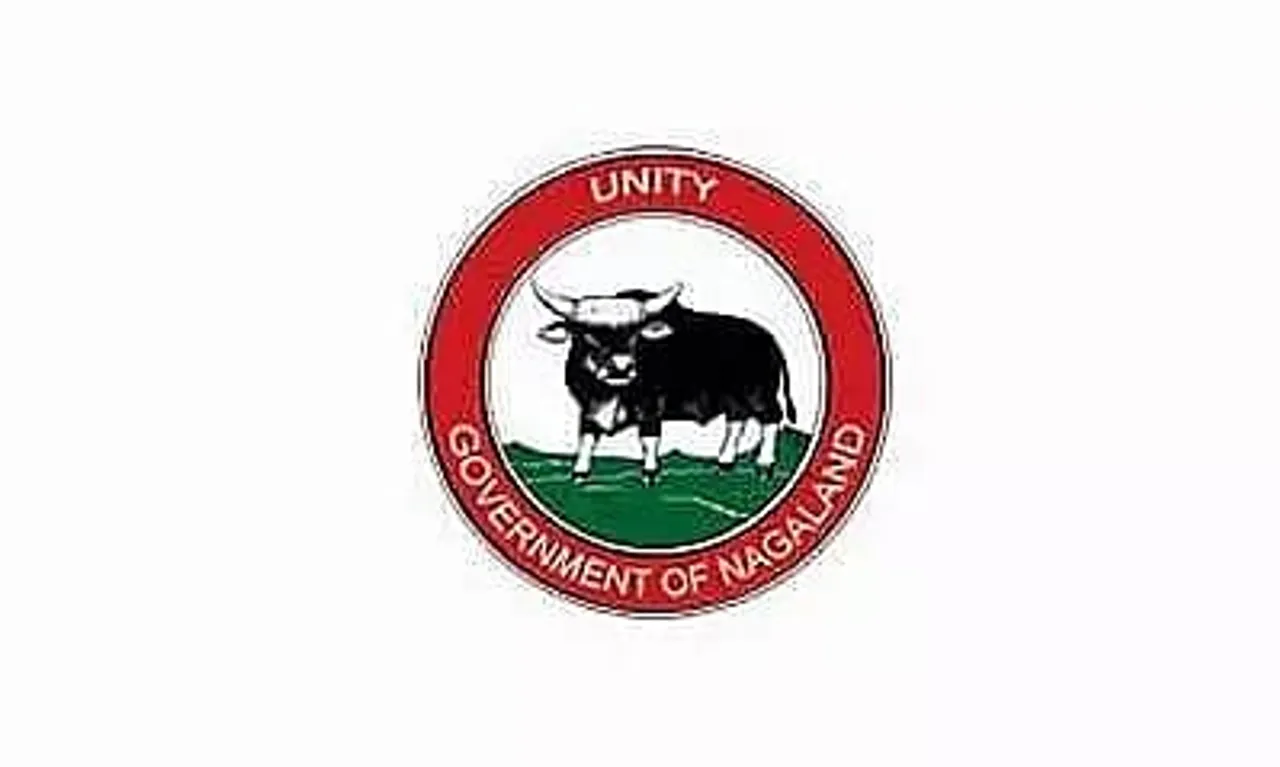 DYRS Nagaland Recruitment 2022 - Physiotherapist Grade-I Vacancy, Job Opening