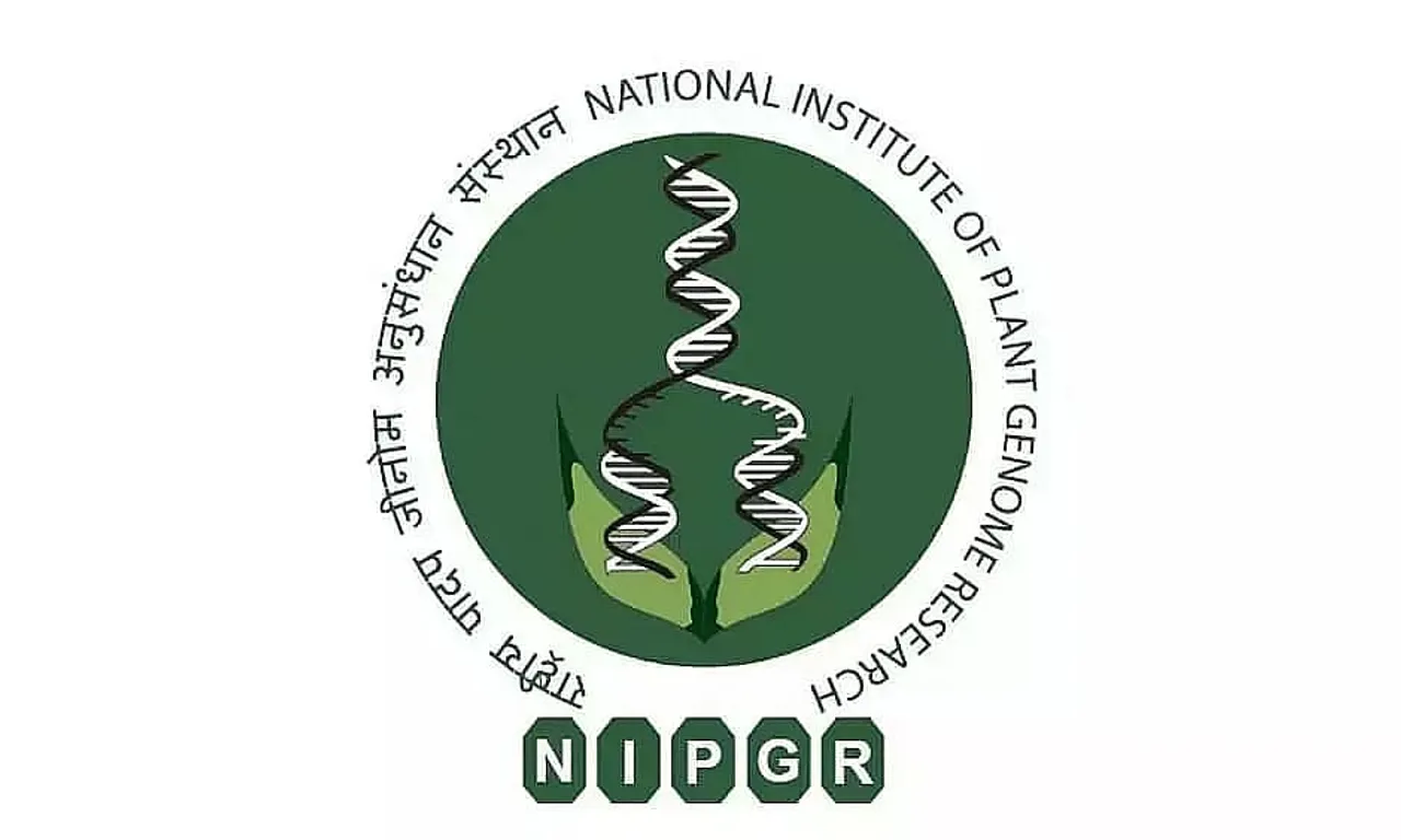 NIPGR Recruitment 2023 - Research Associate III Vacancy, Job Openings