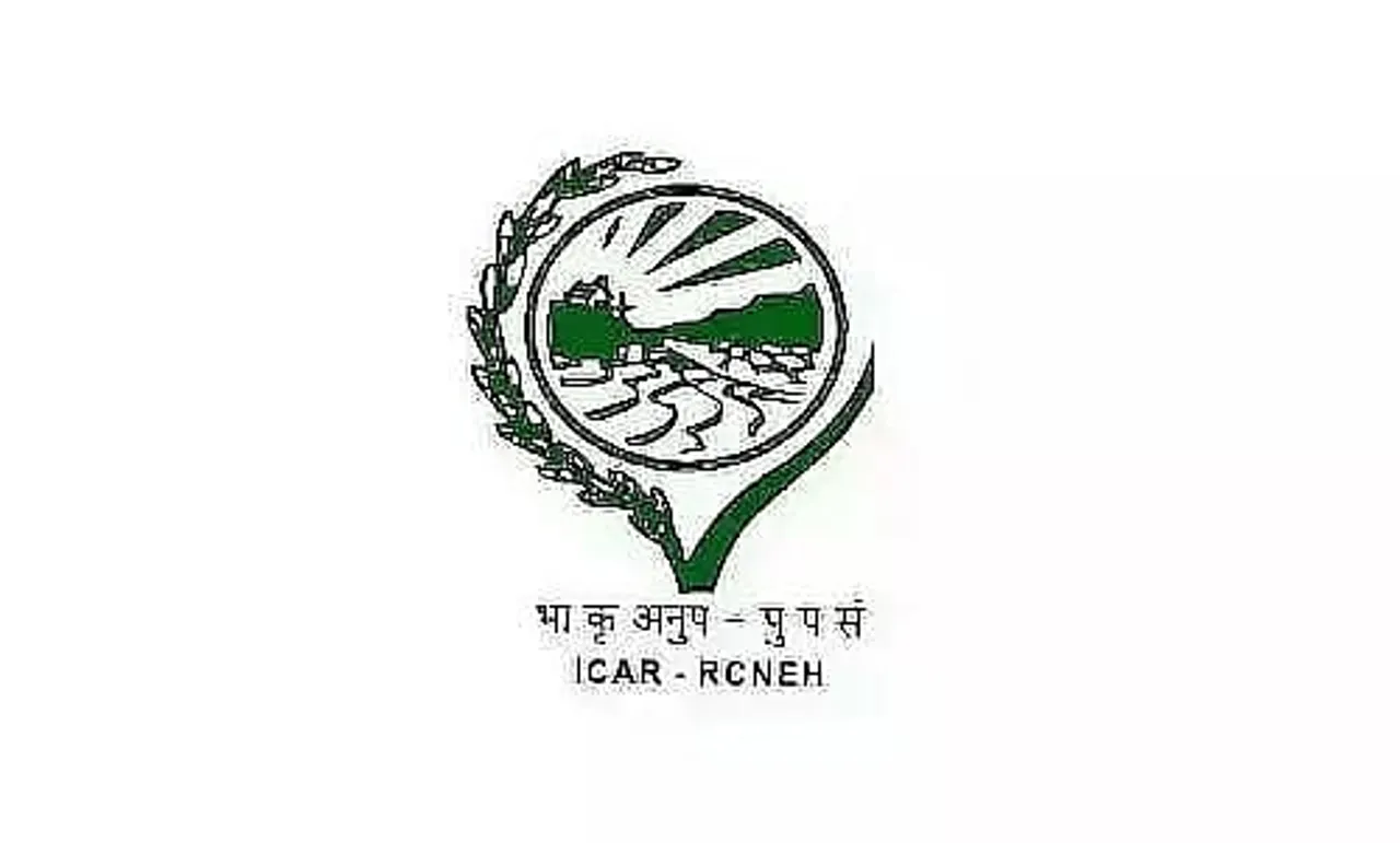 ICAR RCNEH Meghalaya Recruitment 2023 - Young Professional II Vacancy, Job Openings