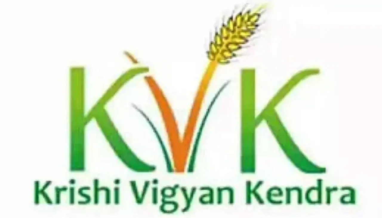 KVK RI BHOI Recruitment 2023 - Project Manager, Project Assistant Vacancy, Job Openings