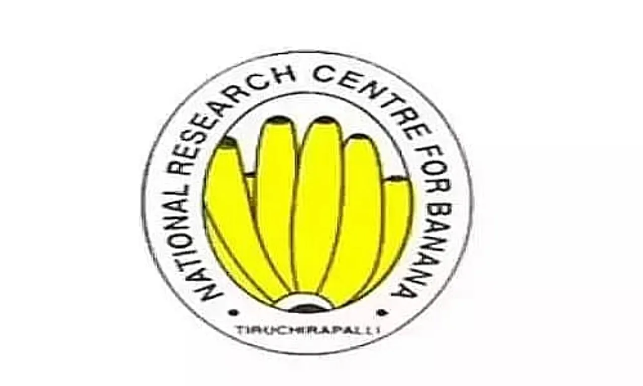 Jobs in India: NRCB Recruitment 2024 - Young Professional-I Vacancy
