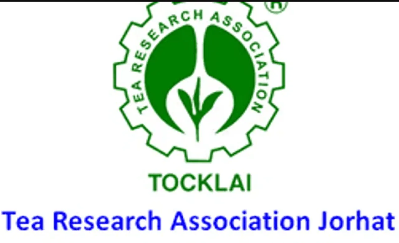 Tocklai Tea Research Institute Assam Recruitment 2024 - Research Fellow Vacancy, Job Openings