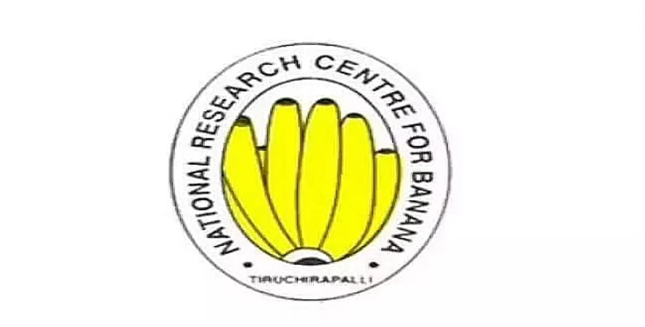 NRCB Recruitment 2024 - Junior Research Fellow Vacancy
