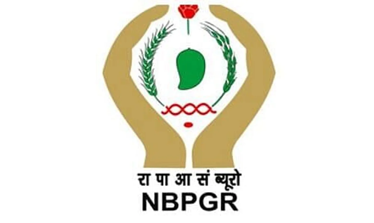 NBPGR Recruitment 2024 - Scientific/Administrative Assistant Vacancy