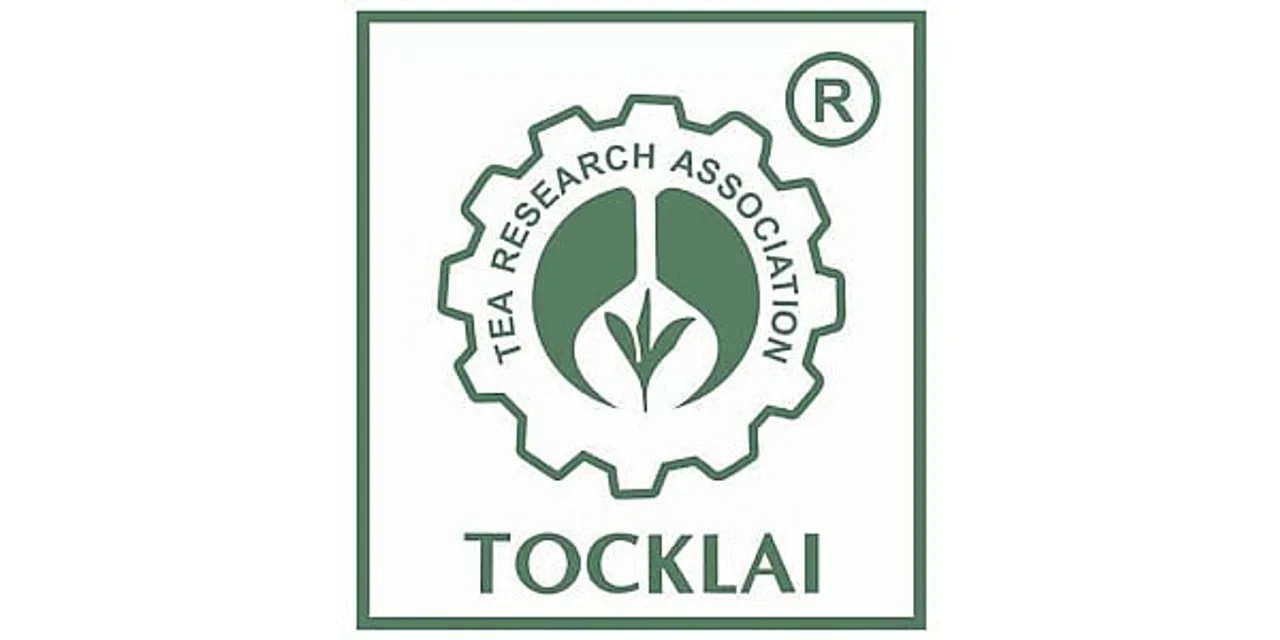 Assam Career: TRA Recruitment 2024 - Senior Researcher Vacancy