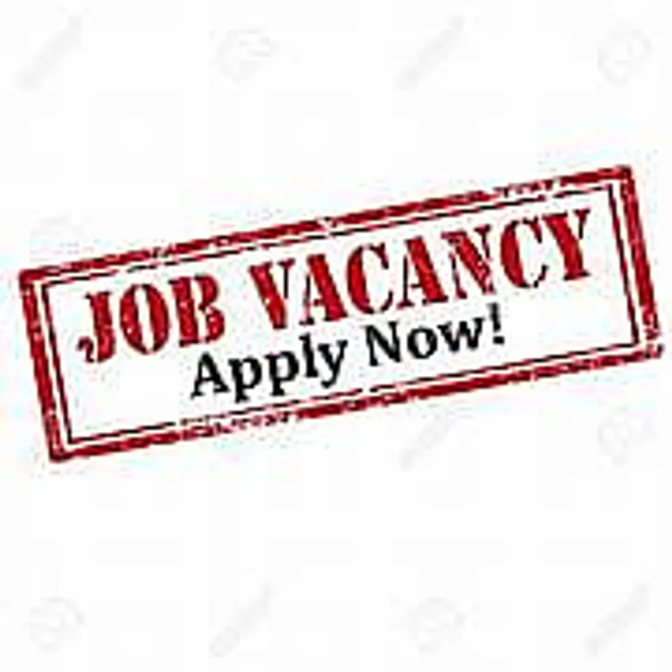 Assam Career: Meridian Kia Nagaon Recruitment 2024 - Sales Executive Vacancy