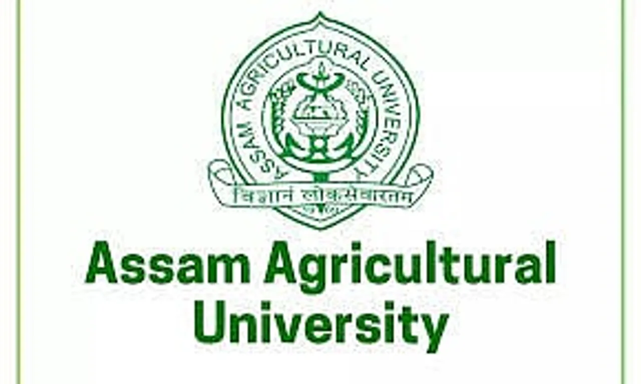 Jobs in Jorhat: AAU Recruitment 2024 -  Internship Programme Vacancy