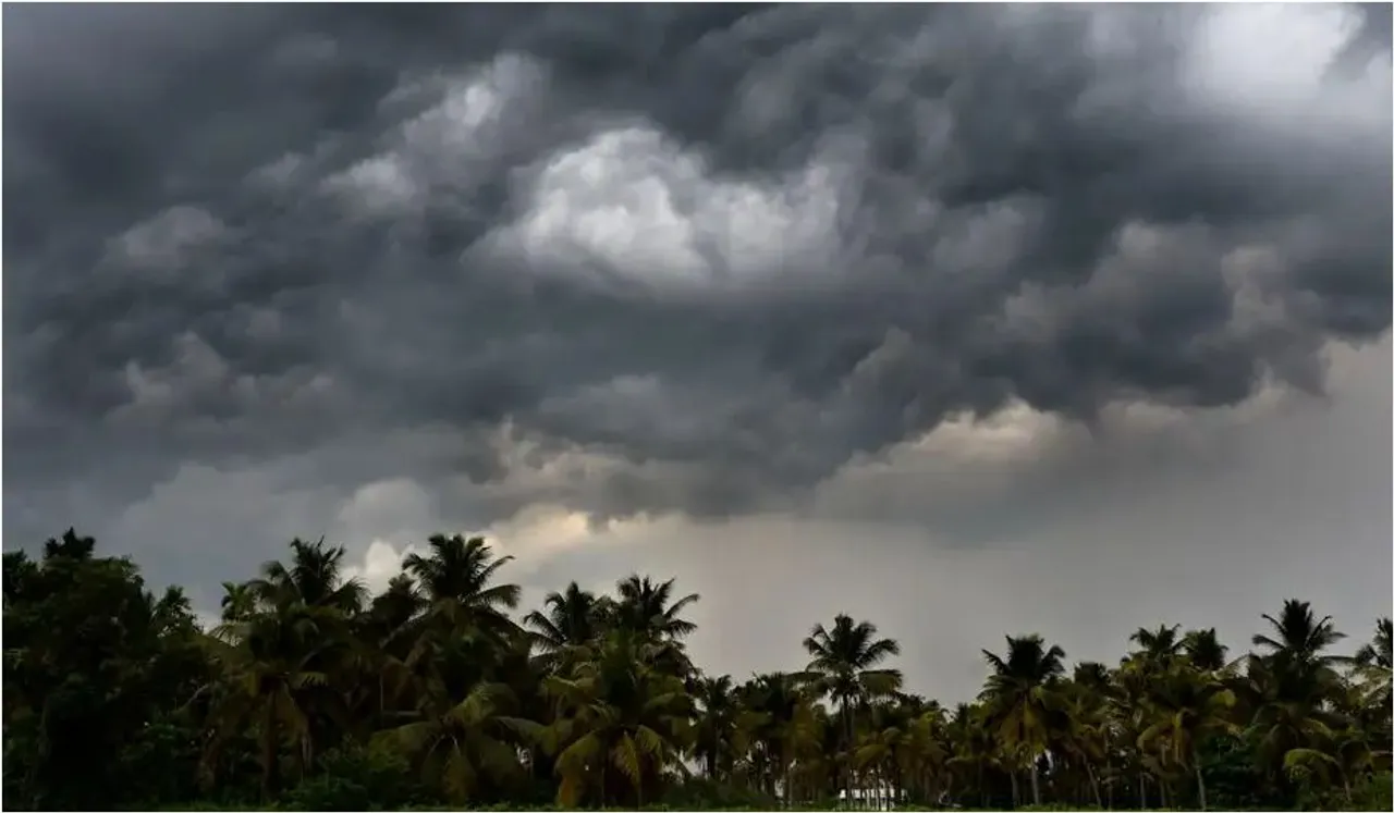kerala rain yellow alert in 10 districts